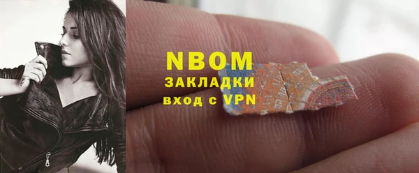 индика Нязепетровск
