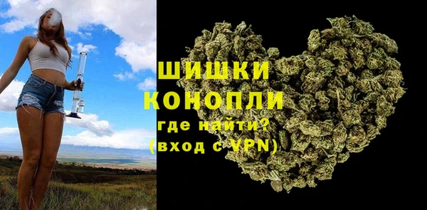 индика Нязепетровск