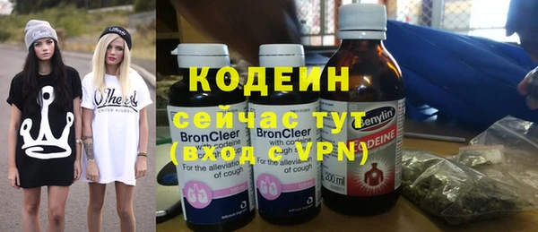 индика Нязепетровск