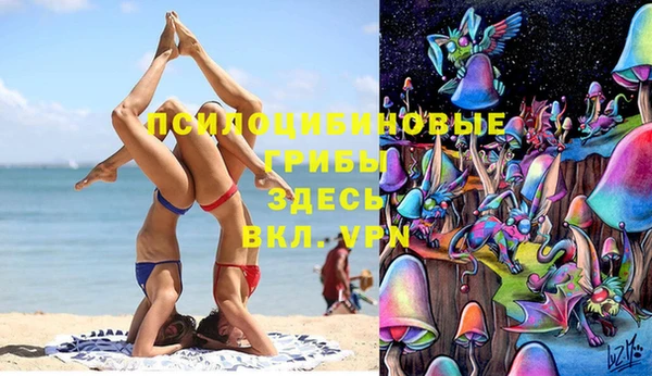 шишки Валдай